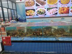 -红月湾海鲜饭店•沙滩海景(双月湾店)