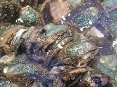 -川骄海鲜自助(河东店)