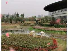 -桂溪生态公园