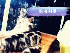 -宠物世家(仲盛世界商城店)