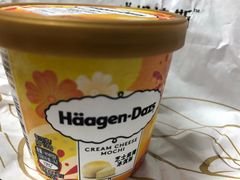 -哈根达斯(西安北郊店)