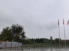 -洋湖国家湿地公园