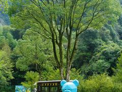 -龙湾潭国家森林公园