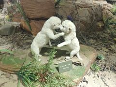 -陕西自然博物馆