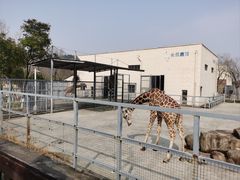 -上方山森林动物世界