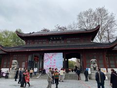 -堤角王师傅牛骨头