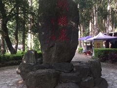-蝴蝶泉公园