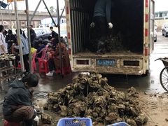 -蚝专家(北滘店)
