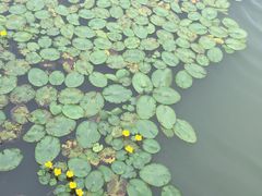 -金沙湖旅游度假区