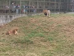 -宿豫区运河湾森林动物园