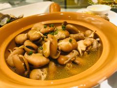 鸡汁川豆芽-骏莱海鲜鱼港(五角场店)