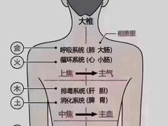 -裕和堂中医推拿艾灸(太古汇臻品店)