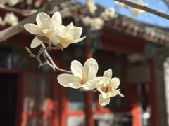 -齐白石旧居纪念馆