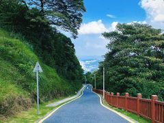 -黄埔油麻山森林公园