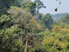 -西双版纳基诺山寨