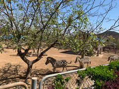 -石家庄市动物园