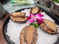 十头鲍鱼-东海怡品海鲜豆捞(星街坊店)