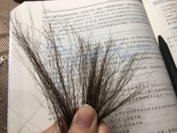 点击看大图 -尚·丹尼Hair