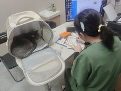 -瑞鹏宠物医院·骨科·猫科·内科(第一中心)