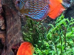 -上海海洋水族馆