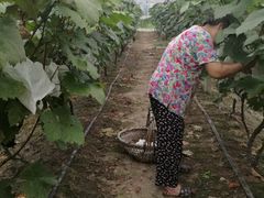 -美家乐农庄·露营·团建(大治路店)