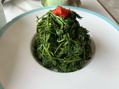 养生枸杞苗-老毛手抓·盐池滩羊非遗手抓(宁夏总店)