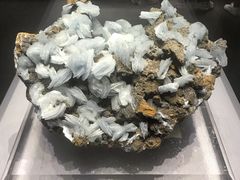 -湖南省地质博物馆