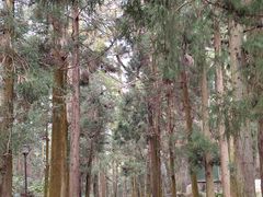 -南岳衡山风景名胜区