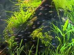 -上海海洋水族馆