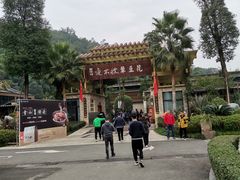 -夜不收荤豆花(大邑总店)