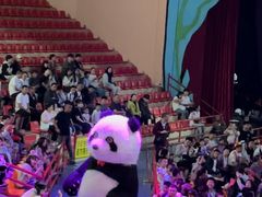 -俄罗斯国家大马戏团