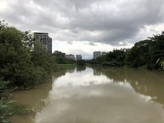 -金山公园