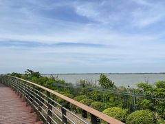 -江滩湿地公园