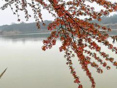 -青龙湖公园