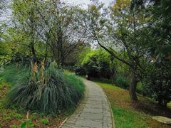 -贵阳市花溪国家城市湿地公园