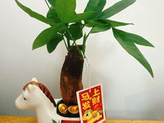 -大商麦凯乐(大连总店)