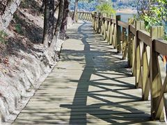 -广州市流溪河国家森林公园