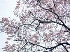 -红星桥(地铁站)