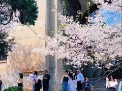 -武汉大学-樱园