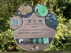 -野象谷景区