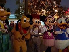 -奥兰多迪士尼动物王国乐园