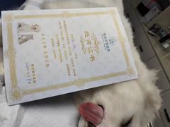 -博特宠物医院24h犬猫全科.骨科·异宠