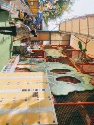 点击看大图 -寻石问宝研学亲子乐园(朝阳公园店)