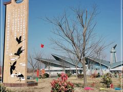 -盐城丹顶鹤湿地生态旅游区