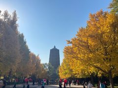 -玲珑塔公园