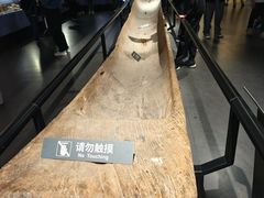 -温州博物馆