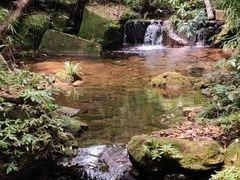 -海南热带雨林国家公园吊罗山景区