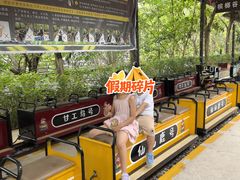-海南槟榔谷黎苗文化旅游区