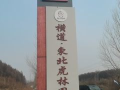 -横道河子东北虎林园