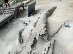 -金沙遗址博物馆